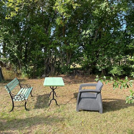 Vita Og Pouls Gard - Guesthouse Viby Cameră foto